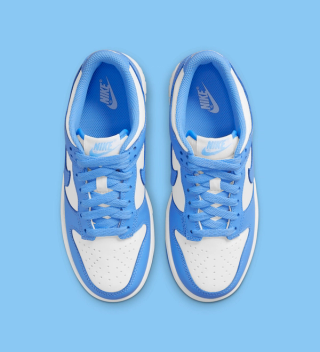 low university blue dunks
